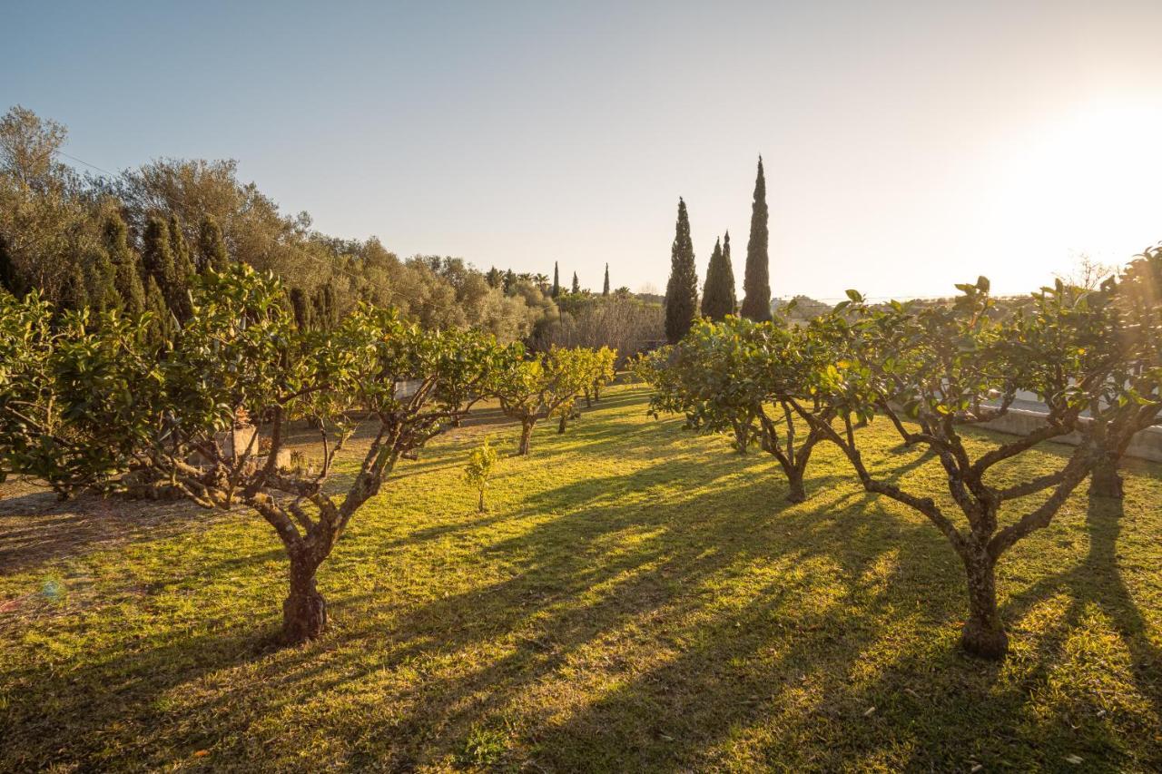 Finca Montana Sant Joan 外观 照片